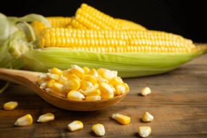 yellow corn 