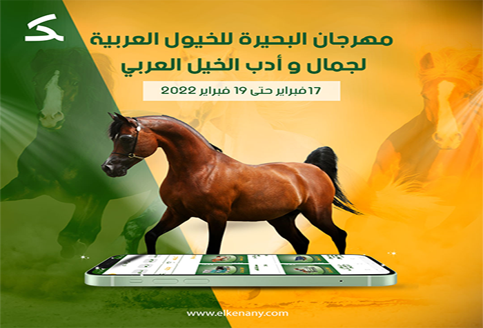 مشاركة الكناني بمهرجان الخيول العربية الأصيلة بالبحيرة 17فبراير