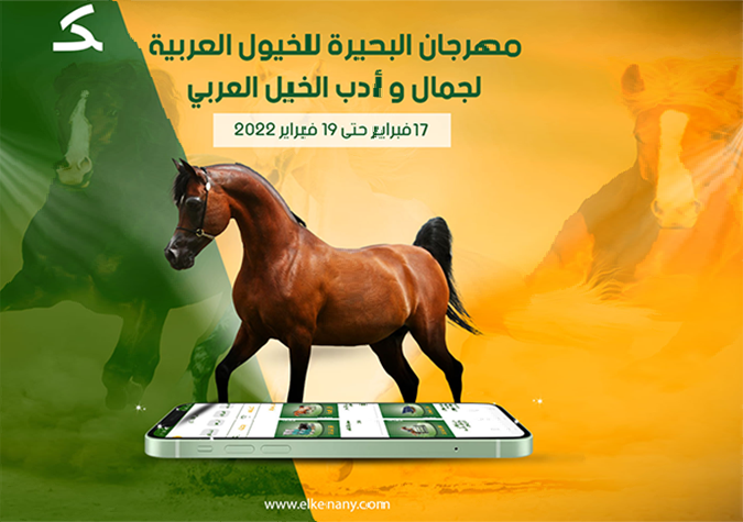 Al-Kenany’s participation in El-Beheira Arabian Horse Festival, February 17