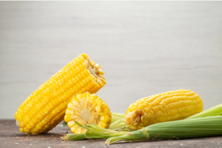 فوائد الذرة الصفراء في تغذية الدواجن “5 حيل غذيهم صح “